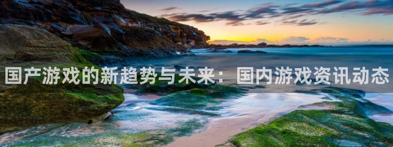 长征娱乐注册服务条款：国产游戏的新趋势与未来：国内游戏资讯动