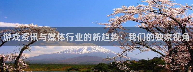 长征娱乐主管：游戏资讯与媒体行业的新趋势：我们的独家视角