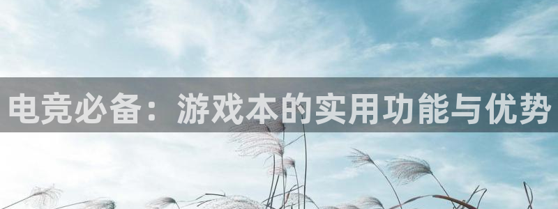长征娱乐平台官网客服电话：电竞必备：游戏本的实用功能与优势