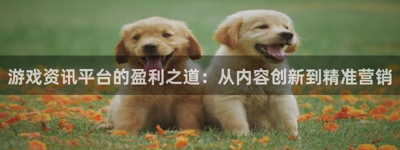 长征娱乐在线登录：游戏资讯平台的盈利之道：从内容创新到精准营