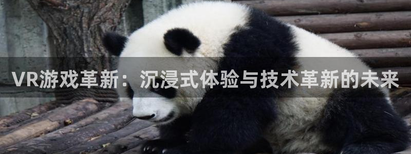 手机版长征娱乐客户端下载：VR游戏革新：沉浸式体验与技术革新