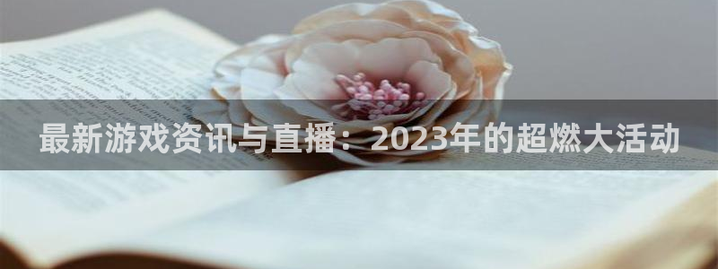 长征娱乐平台官网入口：最新游戏资讯与直播：2023年的超燃大