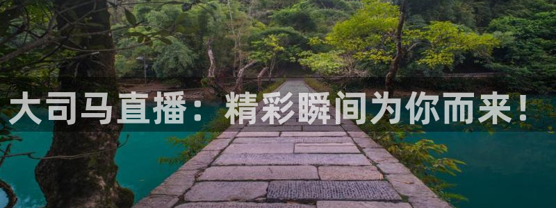 jrs极速体育直播nba