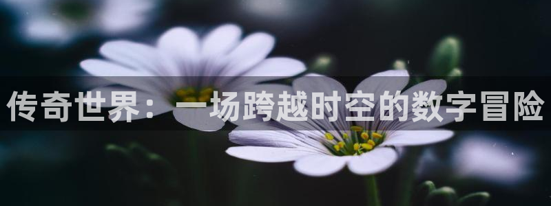 长征娱乐测速app