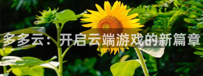 长征娱乐星 1.1.l.l.7.8 长征主管：多多云：开启云