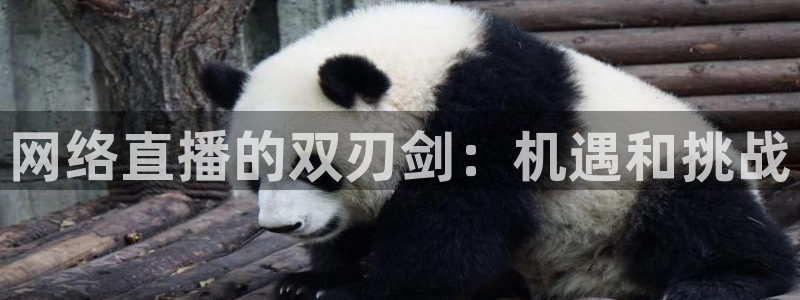 极速直播nba篮球比赛：网络直播的双刃剑：机遇和挑战