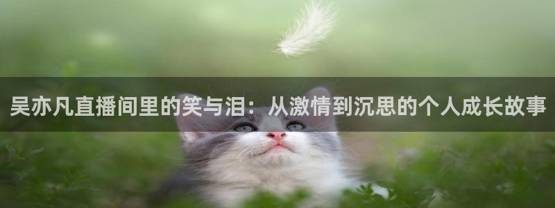 nba直播在线观看极速体育：吴亦凡直播间里的笑与泪：从激情到沉思的个人成长故事